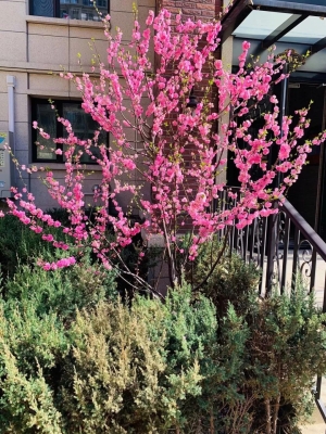 赤峰尚品佳苑業(yè)主群電話號(hào)碼-第1張圖片