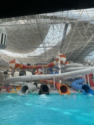 赤峰金龍水族館電話號碼多少-第1張圖片