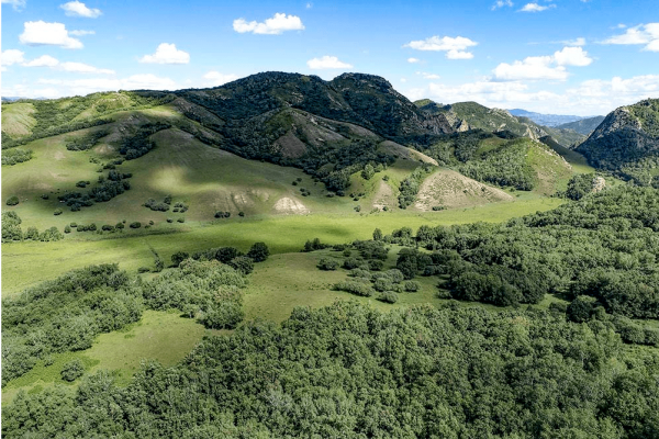 赤峰林東鎮(zhèn)聯(lián)仕酒店電話號(hào)碼-第1張圖片