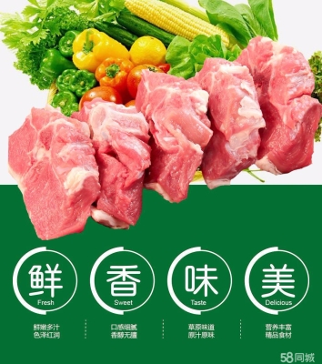 赤峰屠宰羊肉電話多少啊-第1張圖片