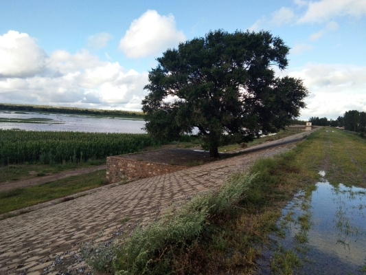 赤峰市敖漢旗出租車電話號碼-第1張圖片
