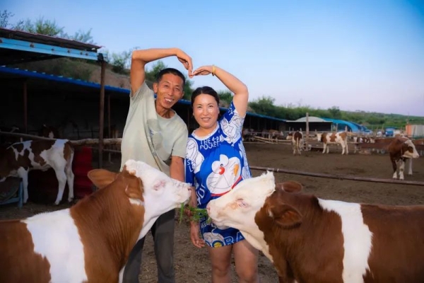 赤峰大鵝公司電話地址是多少號(hào)-第1張圖片