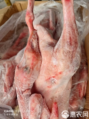 赤峰大鵝夜場(chǎng)電話地址是多少號(hào)-第1張圖片