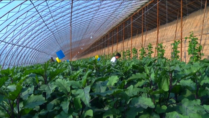 赤峰市蔬菜超市電話地址查詢-第1張圖片