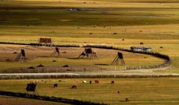 承德到赤峰網(wǎng)約車電話號(hào)碼-第1張圖片