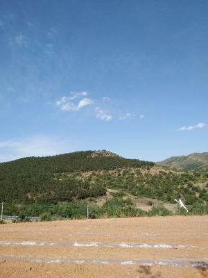 赤峰市敖漢旗屠宰場(chǎng)電話號(hào)碼-第1張圖片