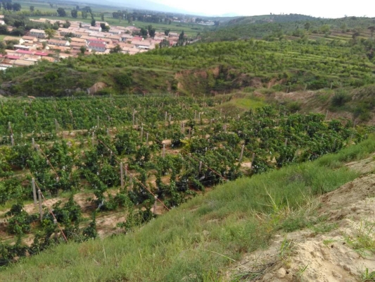 赤峰玉龍街道辦事處電話號(hào)碼-第1張圖片