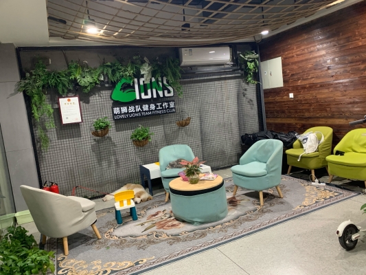 赤峰創(chuàng)遠(yuǎn)車行電話號(hào)碼多少號(hào)-第1張圖片