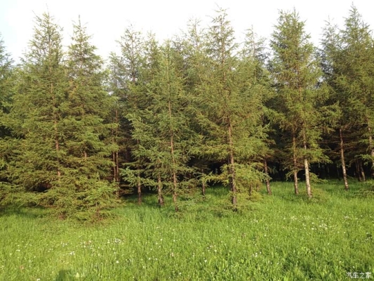 赤峰盛記照相館電話地址查詢-第1張圖片