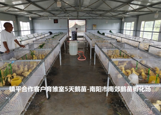 赤峰市養(yǎng)鵝場電話地址查詢-第1張圖片