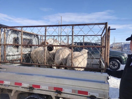 赤峰到東烏旗客車(chē)電話(huà)-第1張圖片