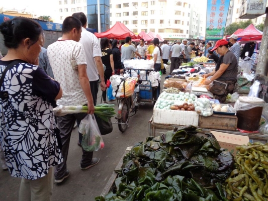 赤峰紅山區(qū)殘聯(lián)聯(lián)系電話號碼-第1張圖片