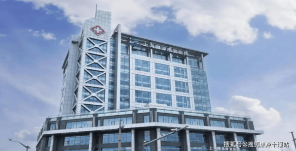 赤峰龍貓活體醫(yī)院地址電話號碼-第1張圖片