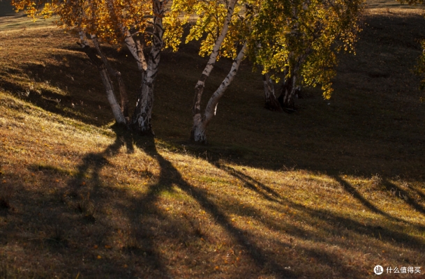 赤峰思瑞駕校電話多少號碼-第1張圖片