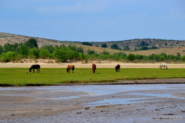 赤峰星訊手機店電話地址查詢-第1張圖片