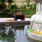 赤峰林東收豬廠電話地址查詢-第1張圖片