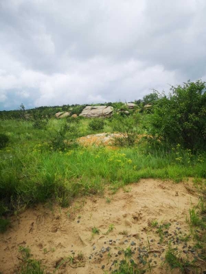 西烏到赤峰直達(dá)車電話號(hào)碼-第1張圖片