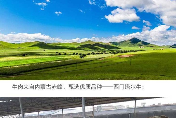 赤峰批發(fā)羊肉串電話多少號-第1張圖片