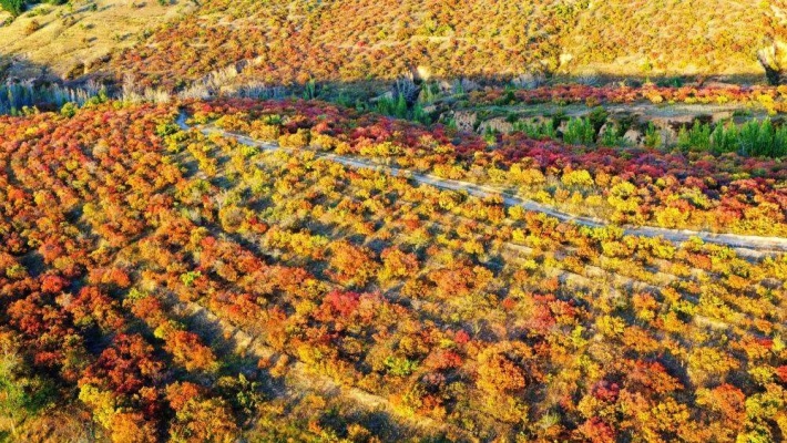 赤峰榮騰汽修電話多少號碼-第1張圖片