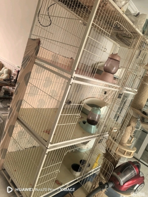 赤峰同城二手貓籠電話號碼-第1張圖片