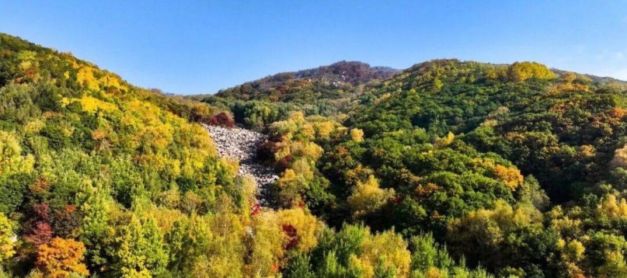 赤峰雅美迪娜電話號碼查詢-第1張圖片