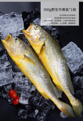 赤峰凍品魚類批發(fā)電話地址查詢-第1張圖片