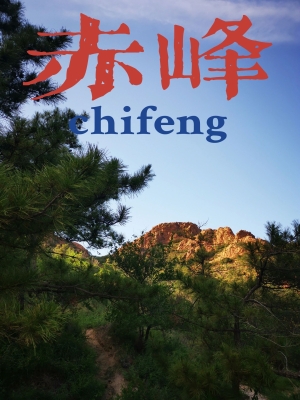 赤峰麗坤飼料招聘電話號碼查詢-第1張圖片