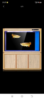 赤峰市魚缸維護(hù)電話號(hào)碼查詢-第1張圖片