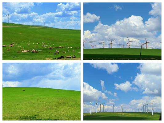 赤峰云鵬代駕電話號(hào)碼多少-第1張圖片