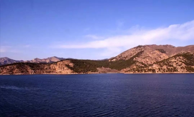 赤峰大福流浪救助站電話號(hào)碼-第1張圖片