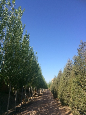 赤峰紅山區(qū)瓷磚批發(fā)電話號碼-第1張圖片