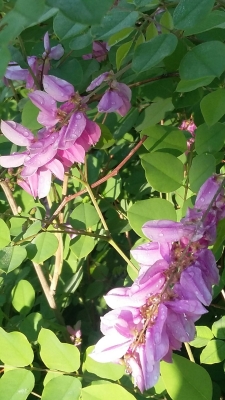 赤峰橋北高爾夫球場(chǎng)電話號(hào)碼-第1張圖片