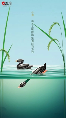 赤峰洽林瓜子包裝廠電話號碼-第1張圖片