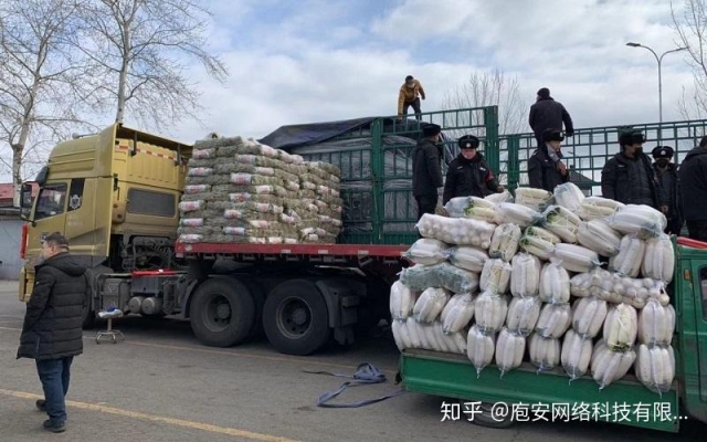 赤峰冷棚施工團(tuán)隊(duì)電話號碼查詢-第1張圖片