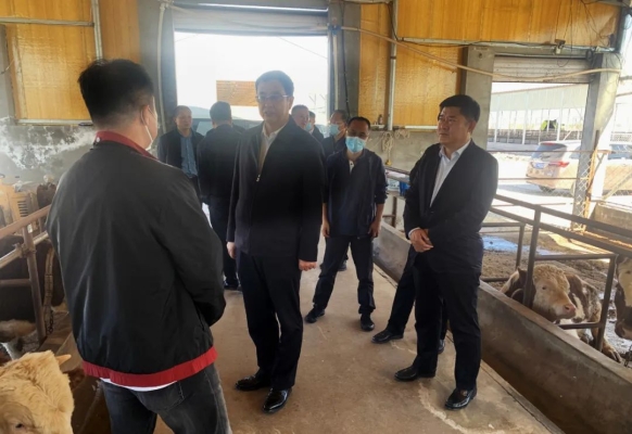 赤峰中糧屠宰場(chǎng)招聘電話號(hào)碼-第1張圖片