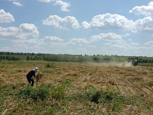 赤峰井關(guān)收割機電話號碼-第1張圖片