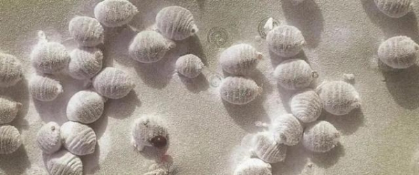 赤峰脂蠟酸廠家聯(lián)系電話號碼-第1張圖片