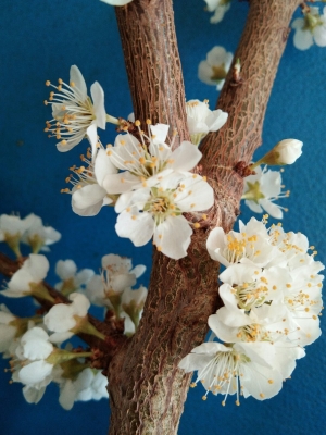 赤峰木頭溝鄉(xiāng)-第1張圖片