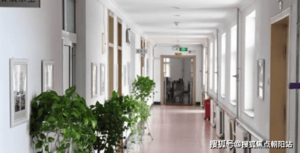 赤峰麗奧藥業(yè)地址電話號碼查詢-第1張圖片