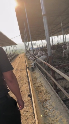 赤峰烏丹獸醫(yī)醫(yī)院電話是多少號(hào)-第1張圖片