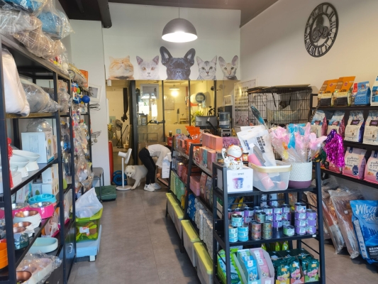 赤峰園林路寵物美容店電話(huà)號(hào)碼-第1張圖片