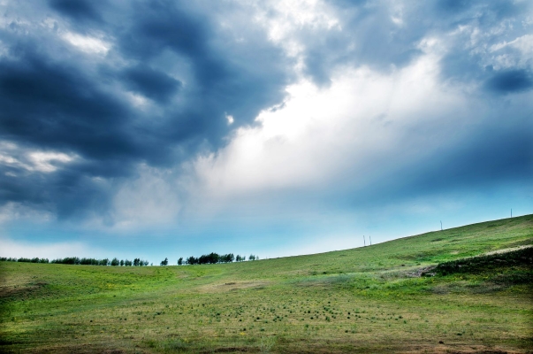 赤峰蝶舞輕盈酒店電話多少號-第1張圖片
