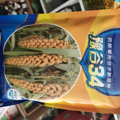 內(nèi)蒙赤峰谷子種業(yè)公司電話號(hào)碼-第1張圖片