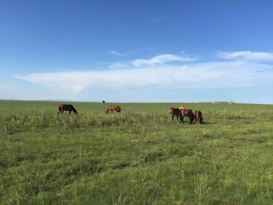 赤峰小峰嚴選超市電話-第1張圖片