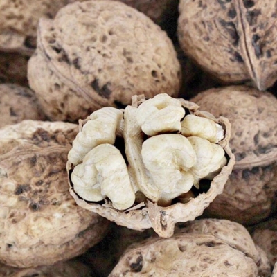 赤峰薄殼山核桃廠家電話-第1張圖片