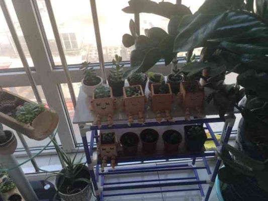 赤峰佳琪美甲電話多少號(hào)-第1張圖片