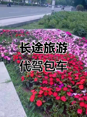 赤峰代駕兼職電話多少號(hào)碼-第1張圖片