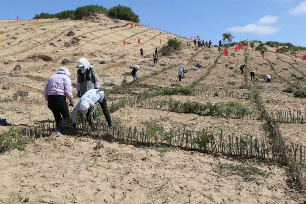 赤峰林業(yè)局電話號(hào)碼是多少-第1張圖片