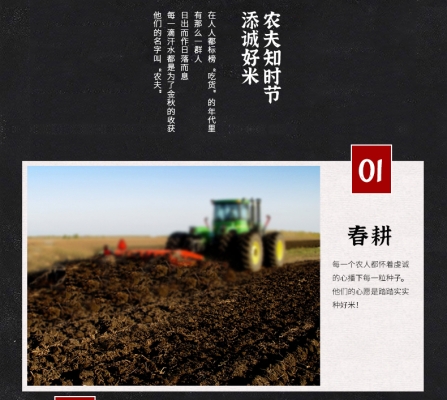 赤峰市小米飯店電話(huà)號(hào)碼-第1張圖片