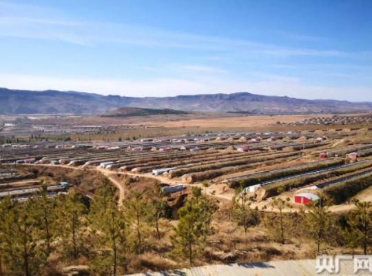 赤峰大廟馬戲團電話多少號-第1張圖片